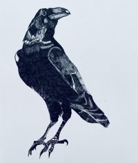 Construction of a Crow